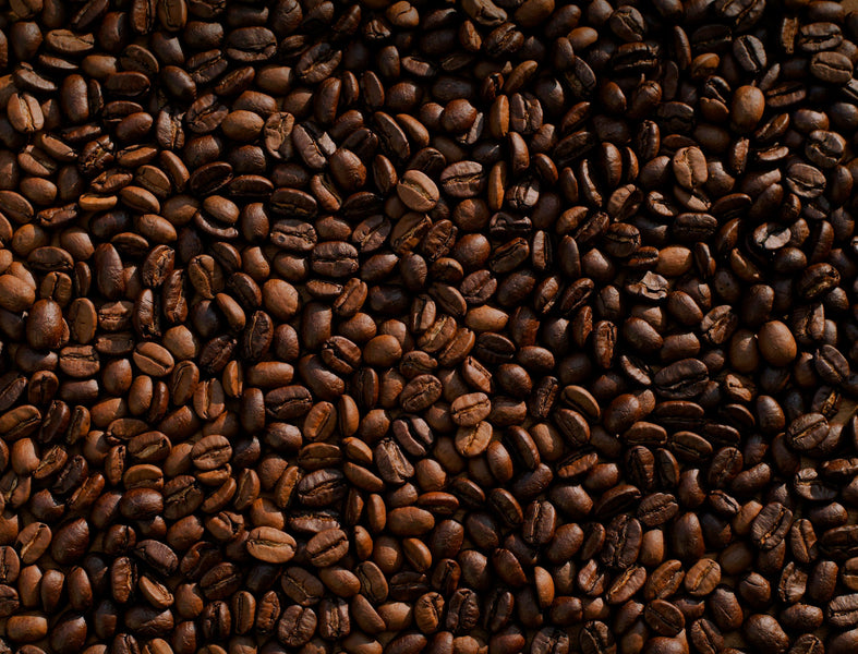 Do Cacao Beans Contain Coffee? Debunking the Cacao-Coffee Myth